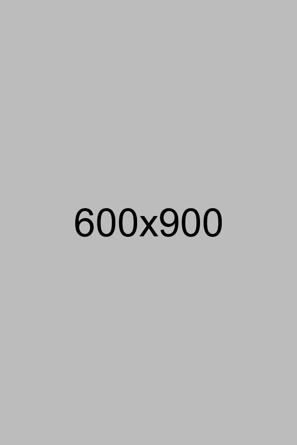 Website Design Internet Marketing